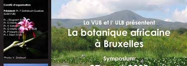 Image result for Cynorkis symoensii