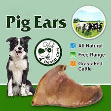 Try to feed your puppy mushrooms. Are Pig Ears Bad For Dogs Are They Safe For Puppies