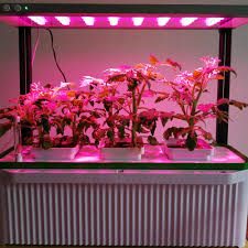 China New Big Smart Hydroponic Integrated Indoor Garden Light China Indoor Garden Light Led Grow Lighting