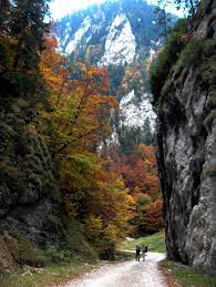 I've noticed that this blog is read not. Zarnesti Gorges Romania Road Trip Itinerary Travel Destinations Travel
