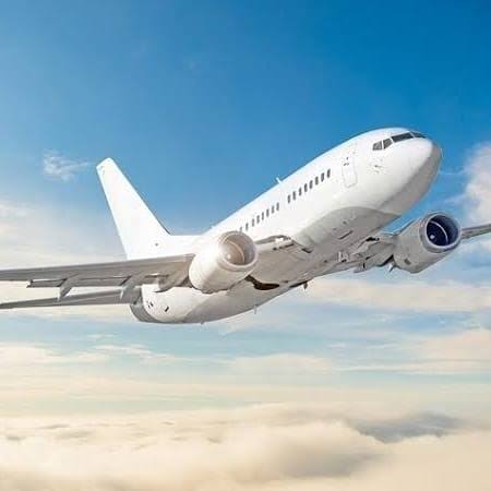 Airline two-seat policy for obese passengers cruel or kind