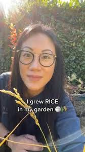 200 Garden ideas in 2025