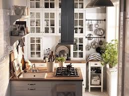 Small Ikea Kitchen Design Idea Progetti Di Cucine Salotti Piccoli Idee Cucina Ikea