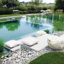 19 Absolutely Incredible Natural Swimming Pool Ideas Natural Swimming Pools Swimming Pond Natural Pool