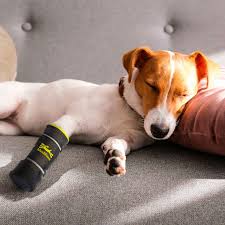 House calls must be booked by calling us at 403.273.8696 Home Medipaw