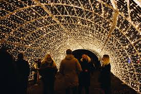 4,978 seuraajaa, 40 seurattavaa, 133 julkaisua. Donnerstag 30 11 Christmas Garden Botanischer Garten Mit Vergnugen Berlin