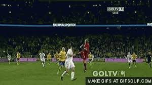 Added 6 years ago jackledesma in funny gifs. Gif Zlatan Ibrahimovic Animated Gif On Gifer By Ianrdred