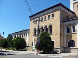 Frunzele foșnesc din când în când. OraviÅ£a Banatul Montan