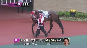 男・兄貴/ スプリングステークスメモリアル（ワンダーファング） 男・兄貴/ 祝!開設2周年＆フェブラリーステークス予想 年明け早々さっぱり/ 京成杯メモリアル（マイネルビンテージ） 管理人/ Fwn6rhzd4aj7wm