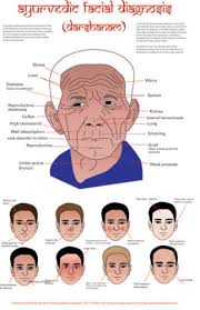 Ayurvedic Facial Diagnosis Chart Related Keywords
