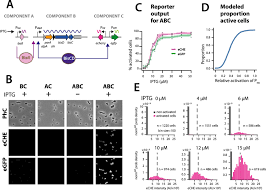 Analog outputs can be used to control the power. An Analog To Digital Converter Controls Bistable Transfer Competence Development Of A Widespread Bacterial Integrative And Conjugative Element Elife
