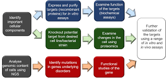 The enterprise was incorporated on may 21, 1980. Understanding Basic Research In A Changing Pharmaceutical Landscape By Ju Lin Tan Phd Linkedin