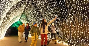 Experience Lightscape at the Chicago Botanic Garden This Season | UrbanMatter