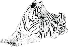 Wild Cat Coloring Pages M9734 Big Cat Coloring Pages Rescue Wild Cats Realistic Co Wild Cat Colouring P Cat Coloring Page Cat Coloring Book Lion Coloring Pages
