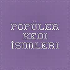 populer kedi isimleri kedi guzel kediler yaratici