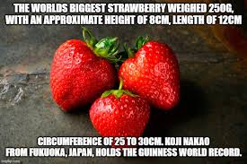 We did not find results for: Topfact96 Worlds Biggest Strawberry Facts Meme Facebook