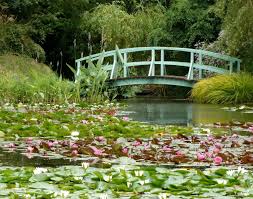Water lilies must be planted in a pond in a very specific way. The Water Lily Ponds