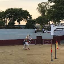 We did not find results for: Photos At Hacienda El Vizir Camino De Sevilla