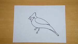 Maybe you would like to learn more about one of these? How To Draw A Birds Northern Cardinal Easy Step By Step Drawing For Kids How To Draw Cardinal Youtube