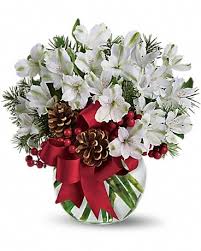 Check spelling or type a new query. Let It Snow In Kitchener On Forest Of Flowers