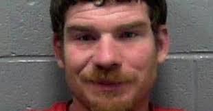 Lumberport man pleads guilty to arson, battery charges