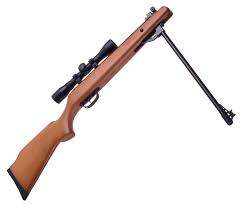 Comment Tirer Une Carabine A Air Comprime Avec Precision Guide Complet En 2020 Avec Images Carabine A Air Comprime Les Fusils Carabine A Plomb
