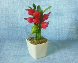 Maybe you would like to learn more about one of these? Dragon Fruit Tree Pot 3 3 4 Dollhouse Miniature Fruit Dragon Fruit Tree Miniature Fruit Trees Tree In Pot