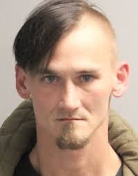 Fugitive Details ID 535