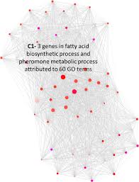 Trainer mikkel becker offers her top 7 tips for successfully housebreaking a puppy. A Tale Of Two Transcriptomic Responses In Agricultural Pests Via Host Defenses And Viral Replication Biorxiv