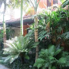 Image result for Gaussia maya