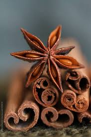 stock photo of anise and cinnamon sticks by renatadobranska spices photography food photography inspiration food photography styling