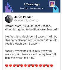 If you have ever wondered about. Rowantree Hashtag On Twitter