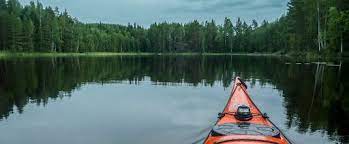 芬兰森林中的蓝莓 用洗脸盆吃羊肉饭 books sentences boat
