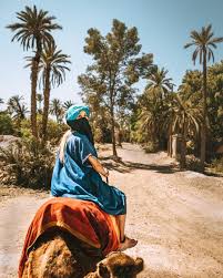 If you won't be here for long and want to make sure you see camels, or if you want a closer encounter, seek out one of the camel farms. Pin On Marrakesh Morocco Photo Ideas