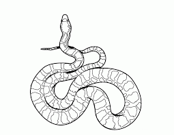 Skull and snake coloring page for adults. Snake Printable Coloring Pages Coloring Home