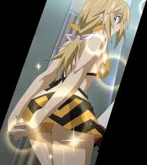 Is infinite stratos charlotte dunois figure wedding taito. Infinite Stratos Charlotte Bikini By Kyokoyuikogts On Deviantart