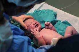 We may earn a commission through links on our site. 15 Birth Photos That Show How Amazing The Vagina Really Is Cafemom Com