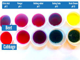 Natural Ph Indicators Make A Ph Indicator Using Beetroot Or