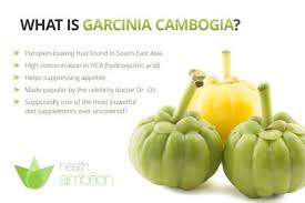 Per standard protocol, one group was given a garcinia cambogia extract to take every day (1500 mg of hydroxycitric acid, the main ingredient in garcinia cambogia), while the other group was given a placebo. Garcinia Cambogia Black Seed Oil Manufacturer From Chennai