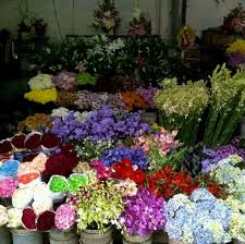 Image result for karangan bunga mawar biru