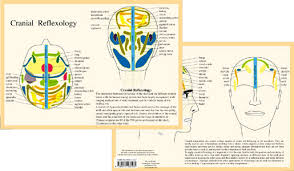 Cranial Reflexology A4