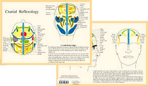 cranial reflexology a4