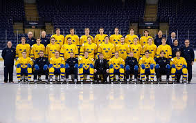 Juniorvärldsmästerskapen i ishockey, jvm i ishockey, anordnas årligen och är en höjdpunkt i slutet och början av varje år. Vem Vinner Jvm Hockey 2021 Odds Junior Vm Vinnare Ishockey 2021