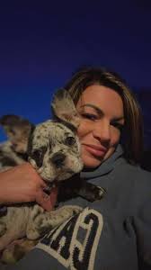 Lost French Bulldog in Old Salem/Garber area of Dayton, Ohio