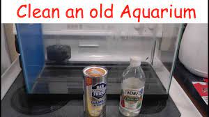 Aquarium - Remove Old Calcium Build-Up - Two Ways - Youtube