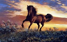 Pretty Brown Horse Wilderness 4k Wallpaper Wallpaper Hd Wallpaper Hd 4k Wallpaper 4k Wallpaper 4k Hd Horses Mustang Horse Beautiful Horses