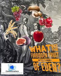Maybe you would like to learn more about one of these? What Was The Forbidden Fruit In The Garden Of Eden Commonplace Fun Facts