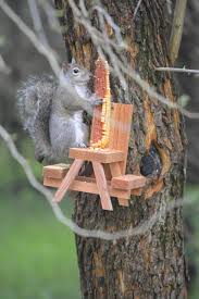 A Proper Squirrel Deserves A Proper Table This Diy Picnic Table Squirrel Feeder Is Adorable Plus It Makes A Great G In 2020 Picnic Table Kit Squirrel Outdoor Gifts