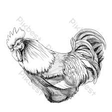 Maybe you would like to learn more about one of these? Cartoon Rooster Tattoo Illustration Png Images Psd Free Download Pikbest