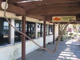 Maybe you would like to learn more about one of these? Watch Processing Through A Window At Chesapeake Fish Cool San Diego Sights